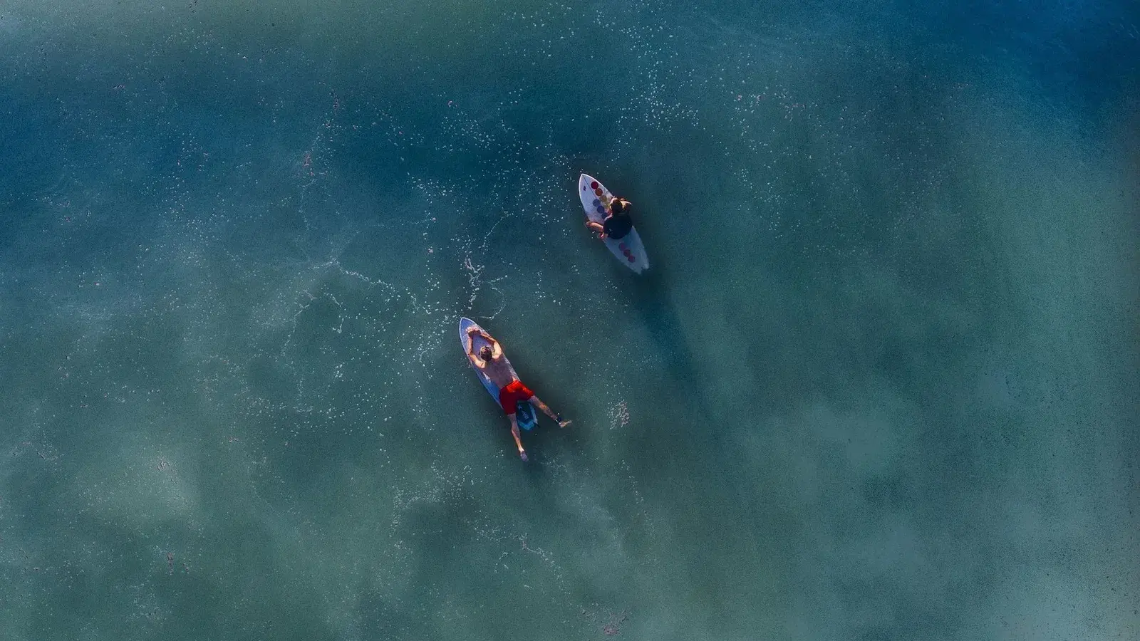 SurfUp's Dashboards, from San Diego to Waikiki